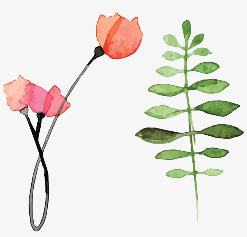 Hd Beautiful Flower Floral - Flower, transparent png download