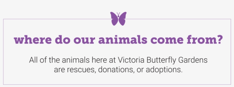 Artboard 1@2x - Portable Network Graphics, transparent png download