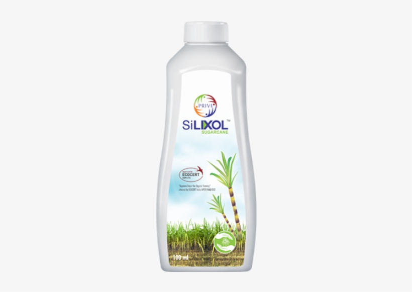 Silixol Sugarcane - Sugarcane, transparent png download