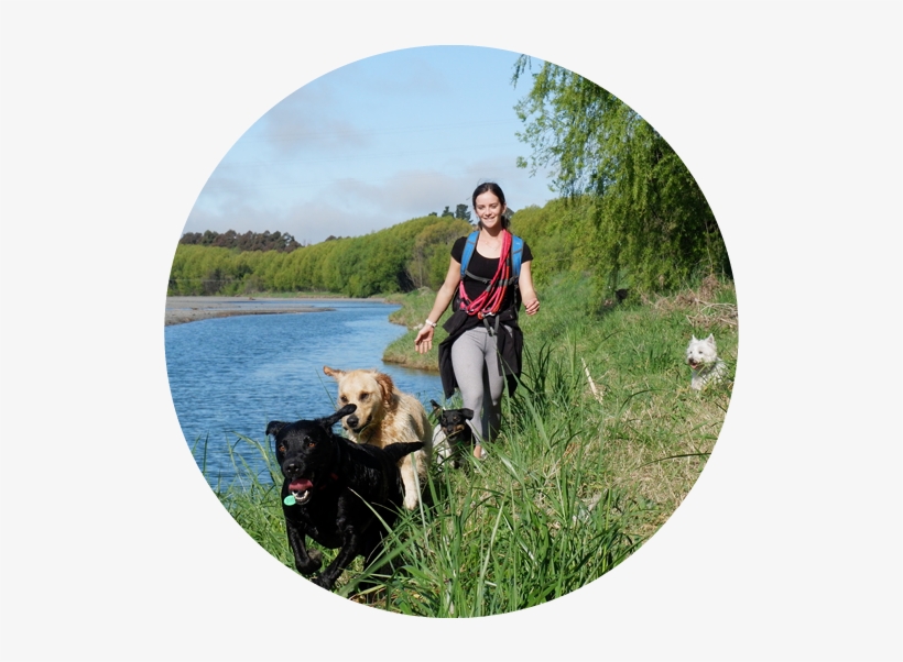 42629478 459702587853465 6955811707532869632 N - Portable Network Graphics, transparent png download