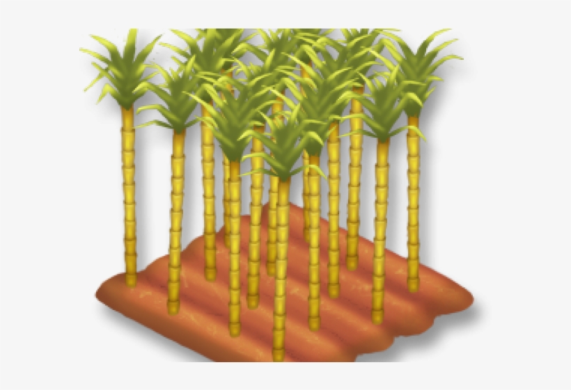 Bamboo Clipart Single Sugarcane Plant - Sugarcane, transparent png download