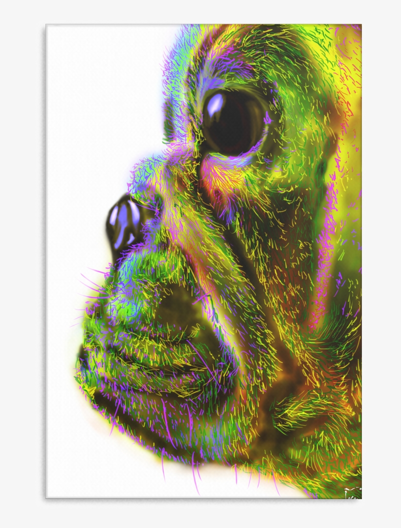 Bulldog Face New Canvas P14 - Visual Arts, transparent png download