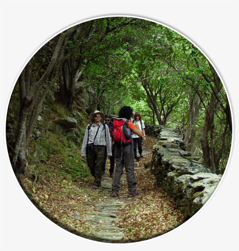 Hiking Tours - Backpacking, transparent png download
