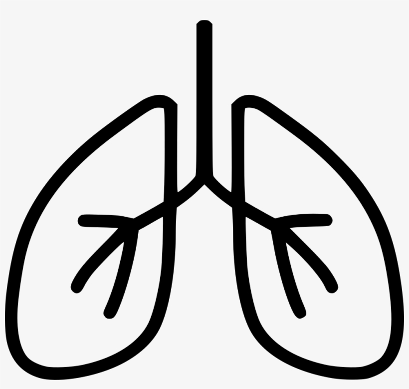 Lungs Breathe Comments - Lung, transparent png download