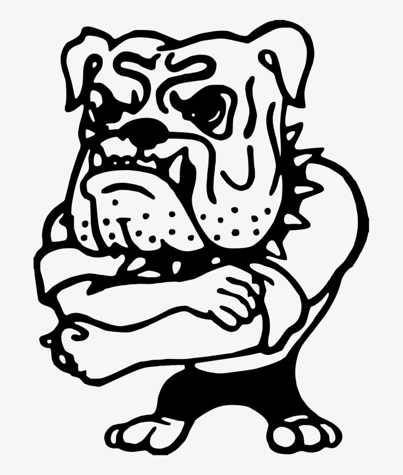 Bulldog Clipart High School - Northern Lehigh Bulldog Band, transparent png download