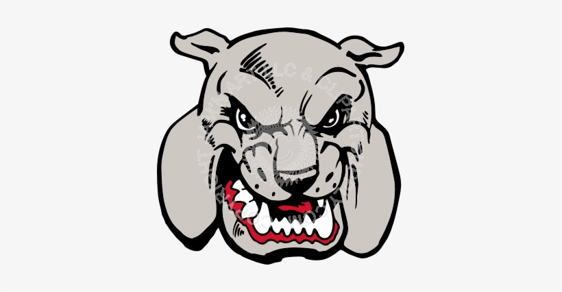 Bulldog, transparent png download