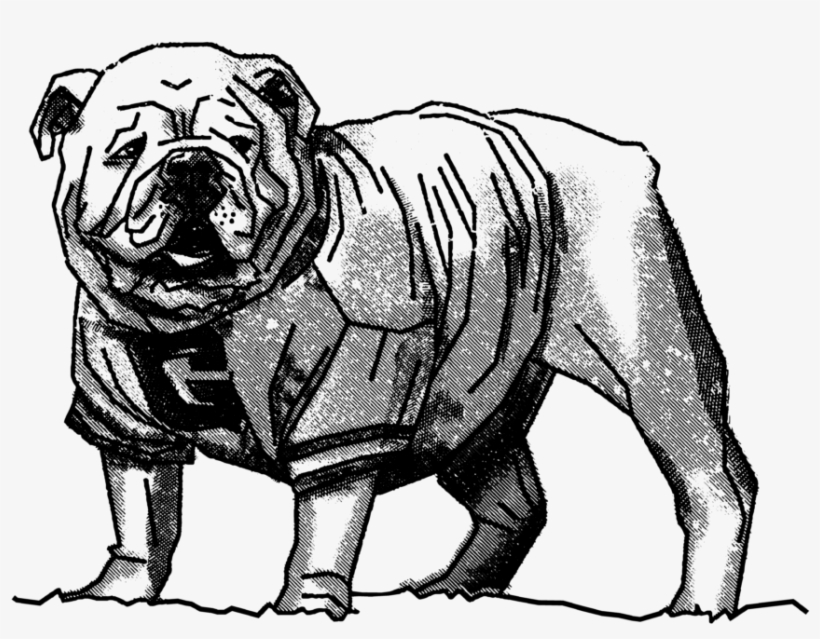 Uga Facingleft - Uga Bulldog Black And White, transparent png download
