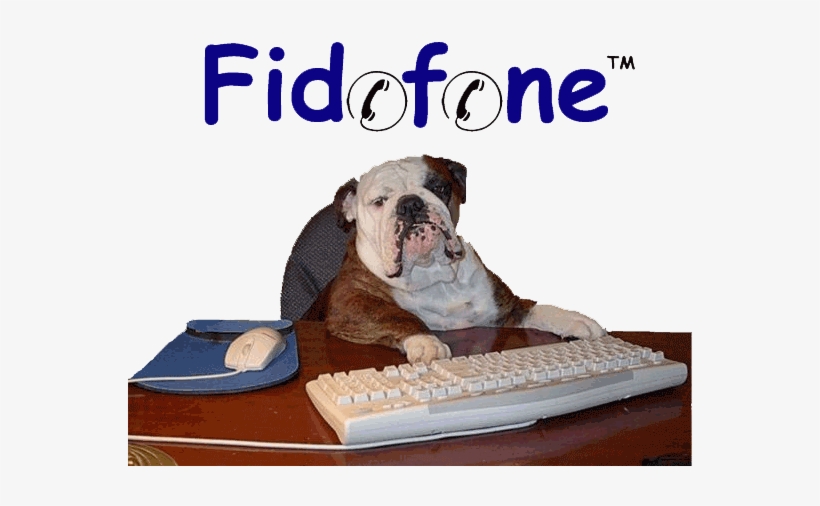 Can Now Visit Your Pet With Our Virtual Pet Visiting - Funny Bulldog, transparent png download