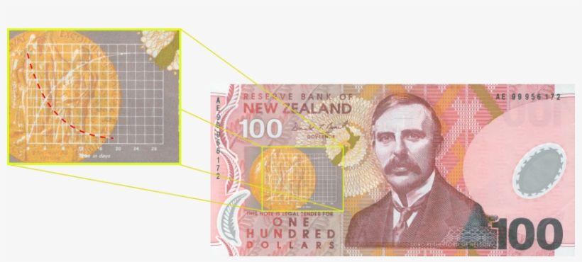 $100 New Zealand Dollar Note - New Zealand Dollar 100, transparent png download