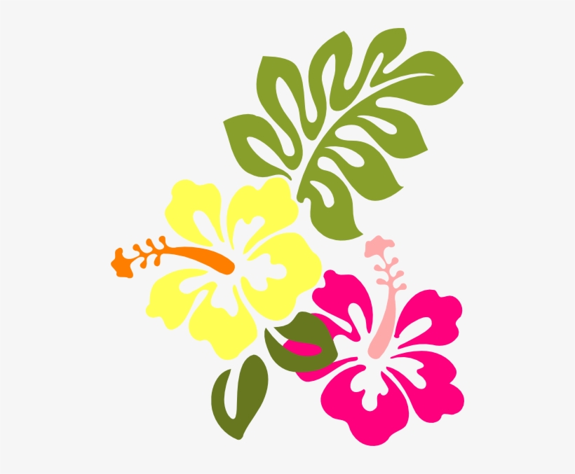 Hibiscus - Hibiscus Clip Art, transparent png download