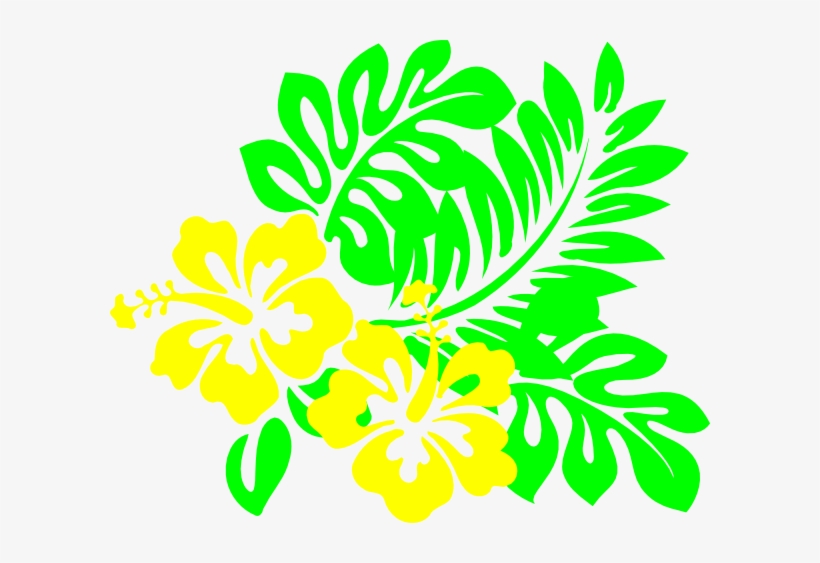 Hibiscus Png - Hibiscus Clip Art, transparent png download