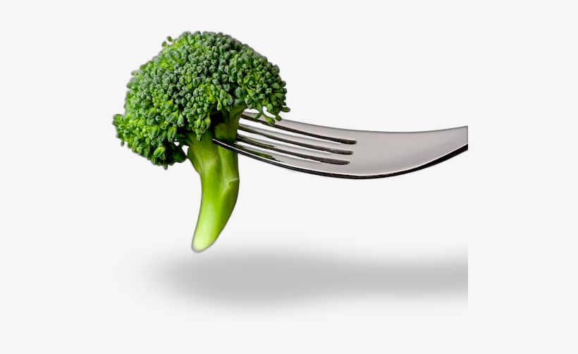 What Is Folic Acid - Fork And Broccoli Png, transparent png download