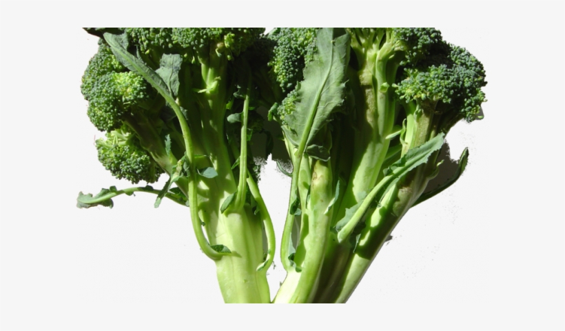 736px-broccoli Dsc00861 - Raw Foods For Varicose Veins, transparent png download