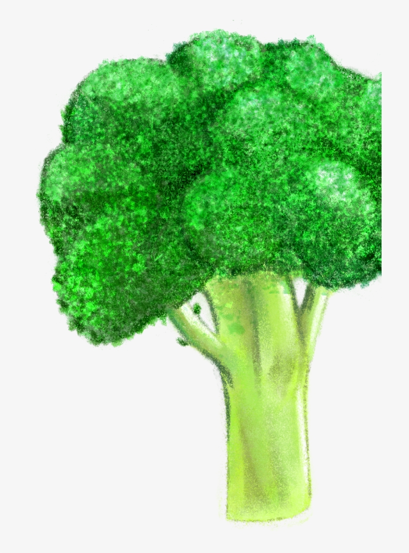 Much Of The Grocery List Changed Over Time And Some - Broccoli, transparent png download