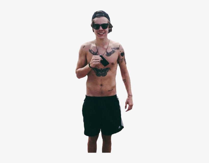Harry Harrystyles Harry Styles Hazza Harold - Harry Styles Screen Lock, transparent png download