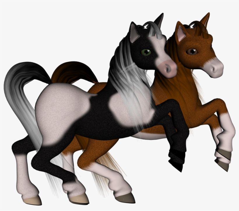 Image - Foal, transparent png download
