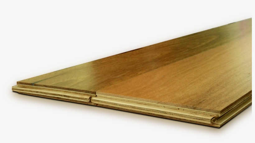 Spotted Gum Blackbutt - Spotted Gum, transparent png download