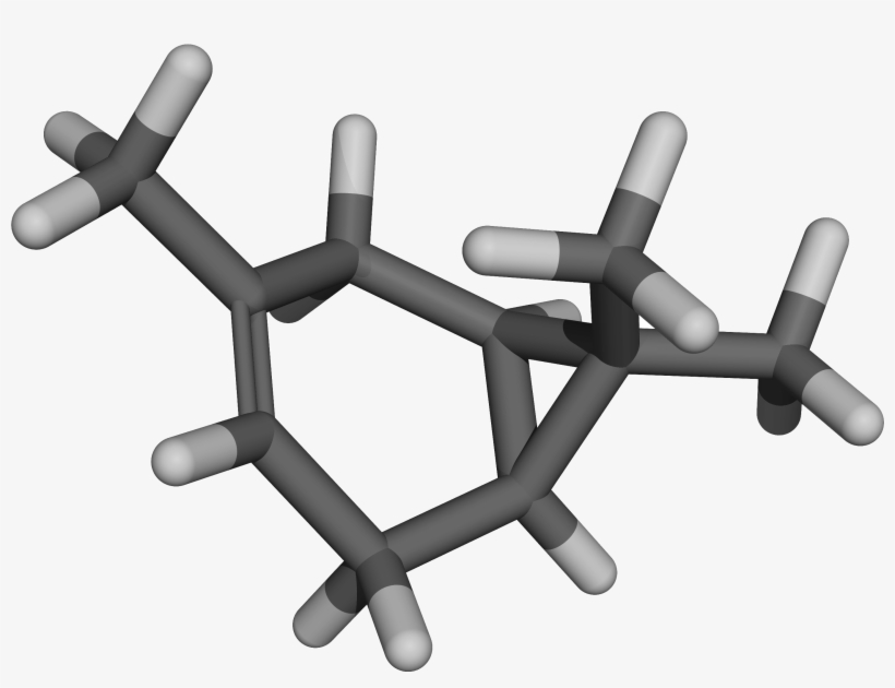 Delta 3 Carene - 3-carene, transparent png download