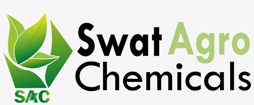 Human Action, transparent png download