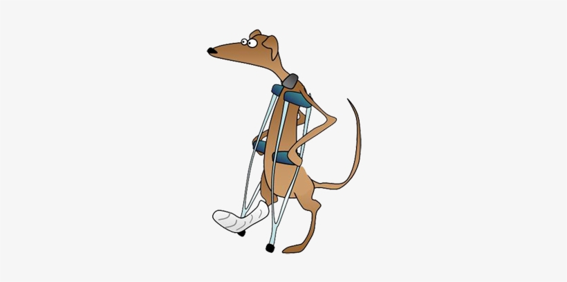 Animal Physio New Zealand - Logo Fyzioterapie, transparent png download