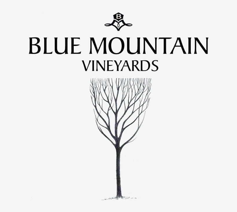 Blue Mountain Vineyards Colorado, transparent png download
