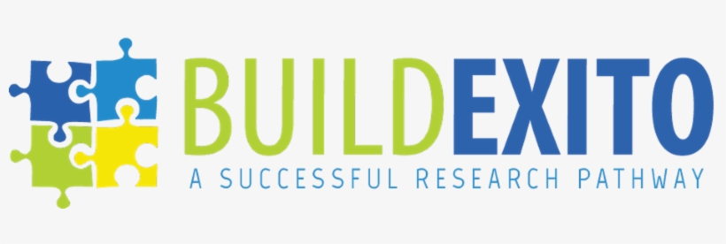 Scholar Newsletter - Build Exito Logo, transparent png download