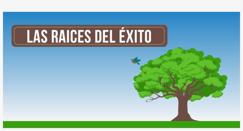 ¿de Qué Se Compone El Éxito - Tree, transparent png download