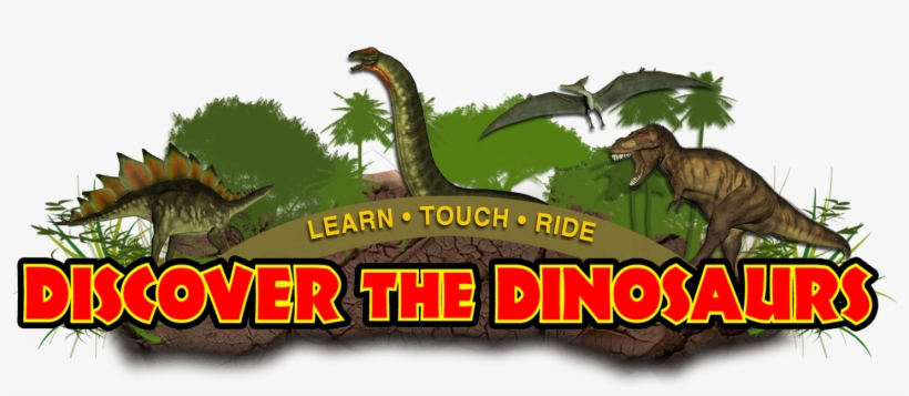 Photos By Tammie Arroyo, Aff-usa - Lesothosaurus, transparent png download