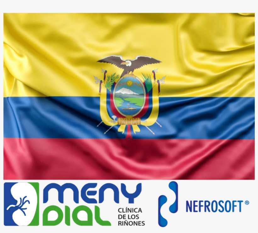 Https - //www - Visual Limes - Com/wp Ecuador - Png - Bandera De Ecuador Actual, transparent png download