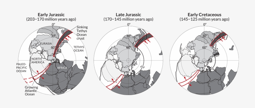 Visualizing - Circle, transparent png download