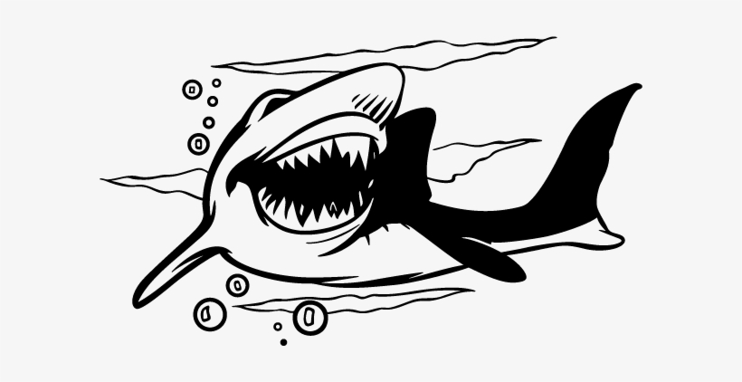 Personalized Custom Engraved Shark Stainless Steel, transparent png download