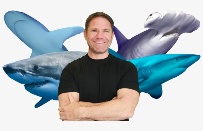Shark Bites - Shark Bites Cbbc, transparent png download