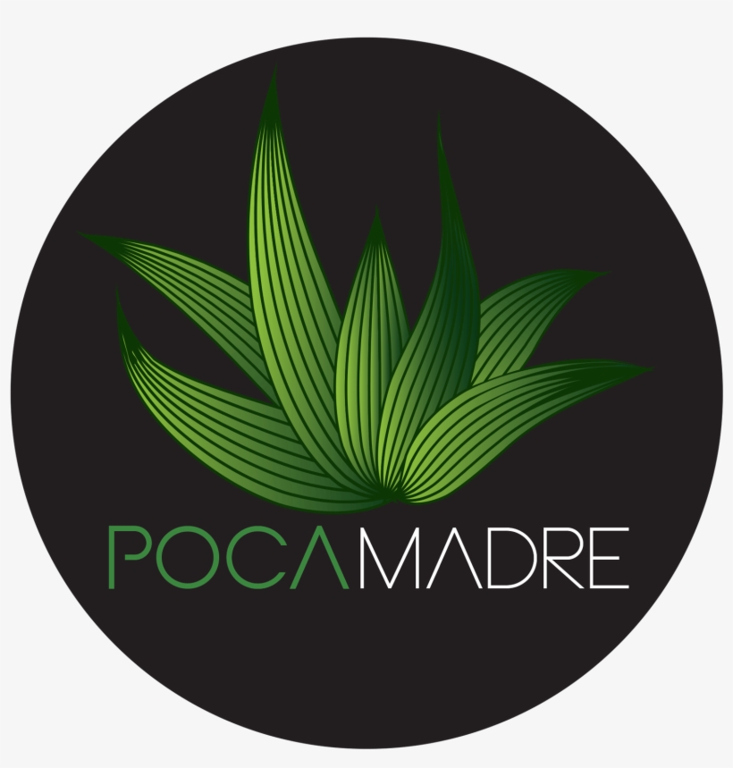 Member Image - Drawing, transparent png download