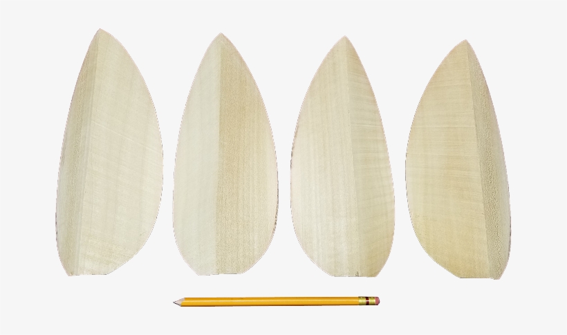 Close - Dinosaur Egg, transparent png download