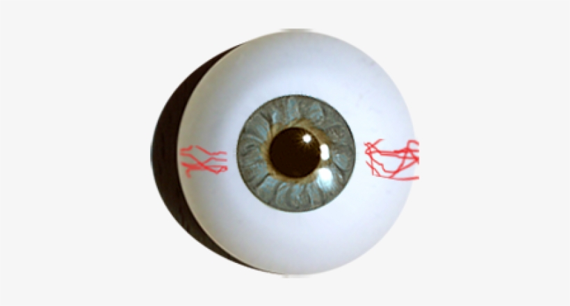 Designer Eyes - Circle, transparent png download