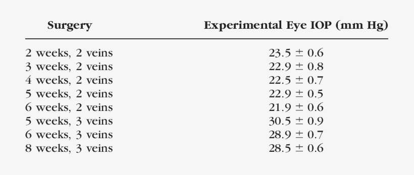 Average Iop In Experimental Eyes After Two Or Three - Ephesians 2 8 10, transparent png download