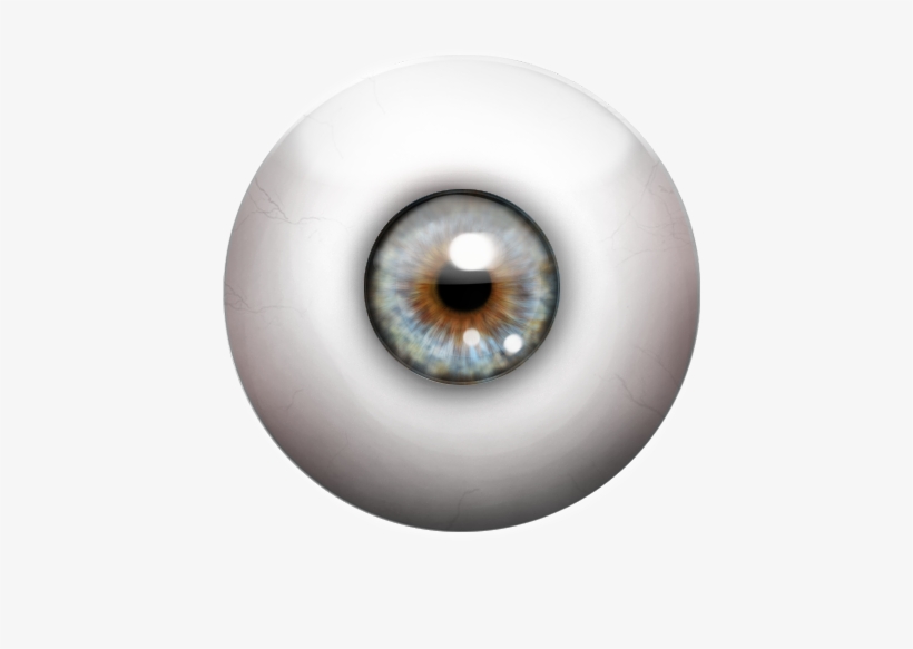 Oogbal Study Finish, transparent png download