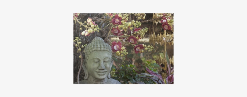 Buda Poster • Pixers® • We Live To Change - Buddhas Welt 2019, transparent png download