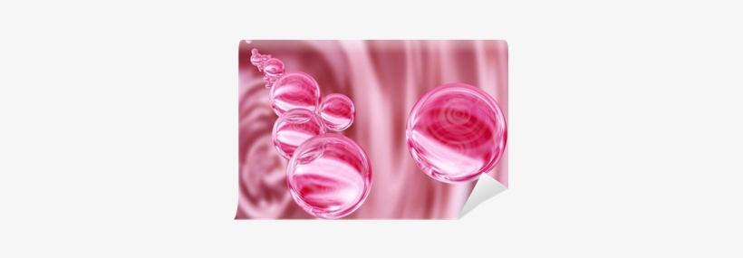 Rose, transparent png download