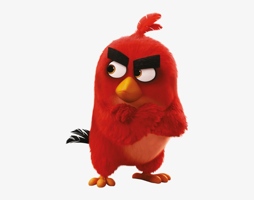 If Learning English With The Angry Birds Isn't Right - Angry Birds, transparent png download