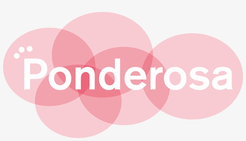 It Was Designed By Gabi Altevers, The Long-time Designer - Hyderabad, transparent png download