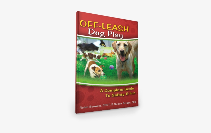 Off-leash Dog Play - Off-leash Dog Play By Robin Bennett, transparent png download