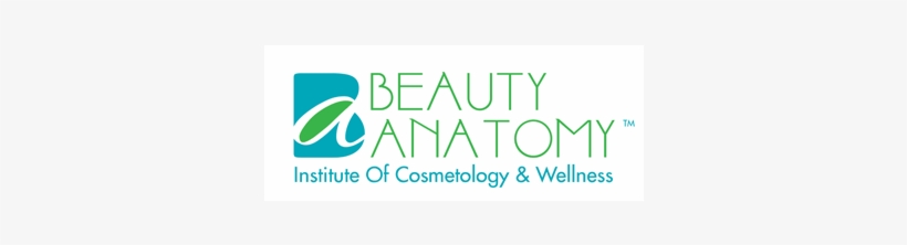 Beauty Anatomy Institute Of Cosmetology And Wellness, transparent png download