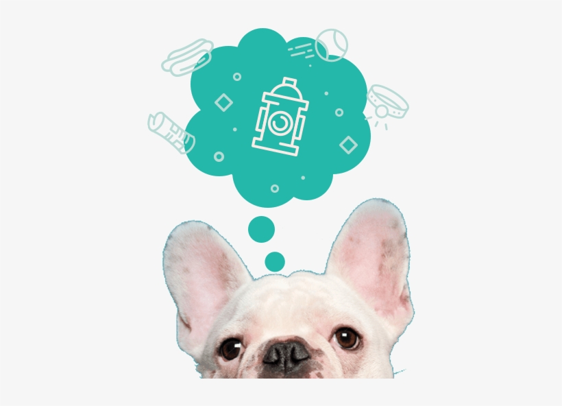 Free Initial Exams For New Clients - Memphis, transparent png download