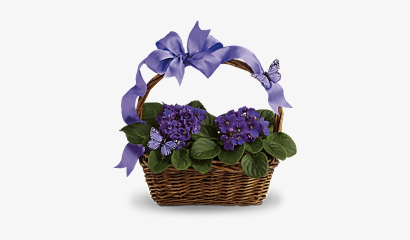 Violets And Butterflies - Violets And Butterflies Teleflora, transparent png download