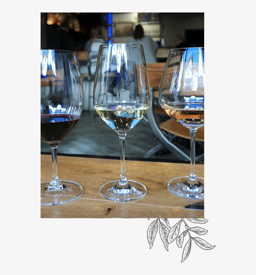 There Are 3 Types Of Tasters In The World - Wine Glass, transparent png download
