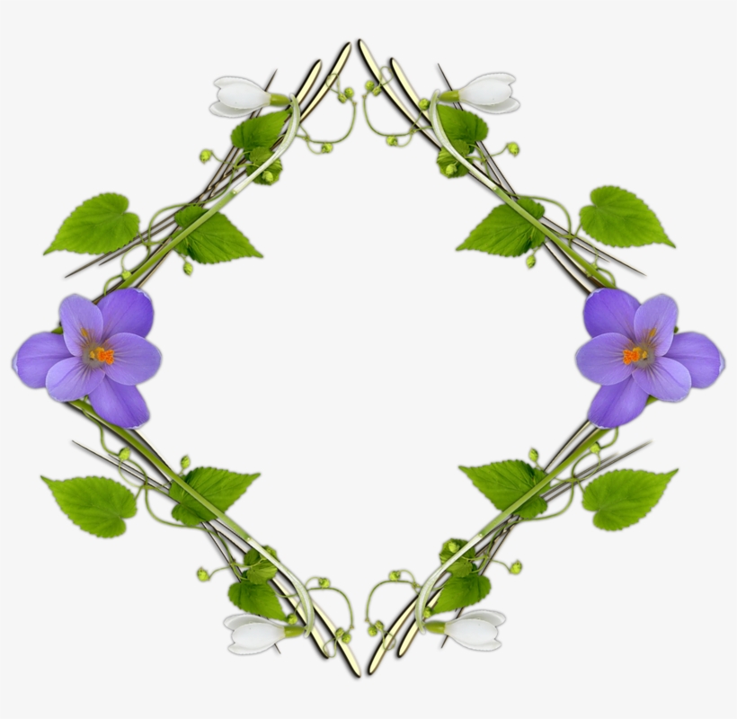 Violets Frames - Viola, transparent png download