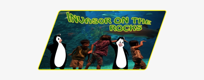 Invasor On The Rocks - Siam Ocean World Bangkok, transparent png download
