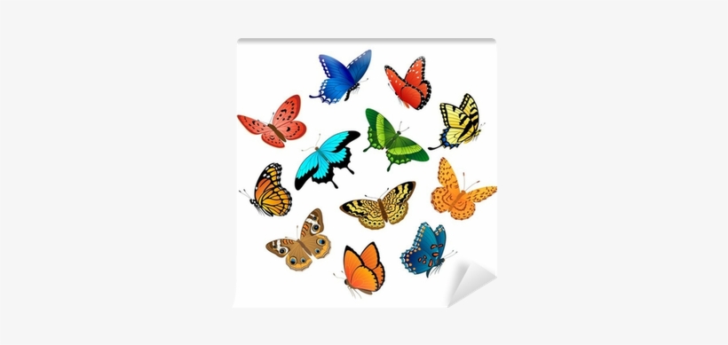 Kit Cenário Display De Mesa Borboletas Com 20 Cm, transparent png download