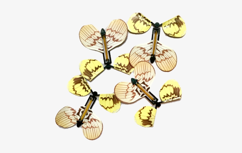 These Fluttering, Flying, And Downright Fearless Butterflies, transparent png download